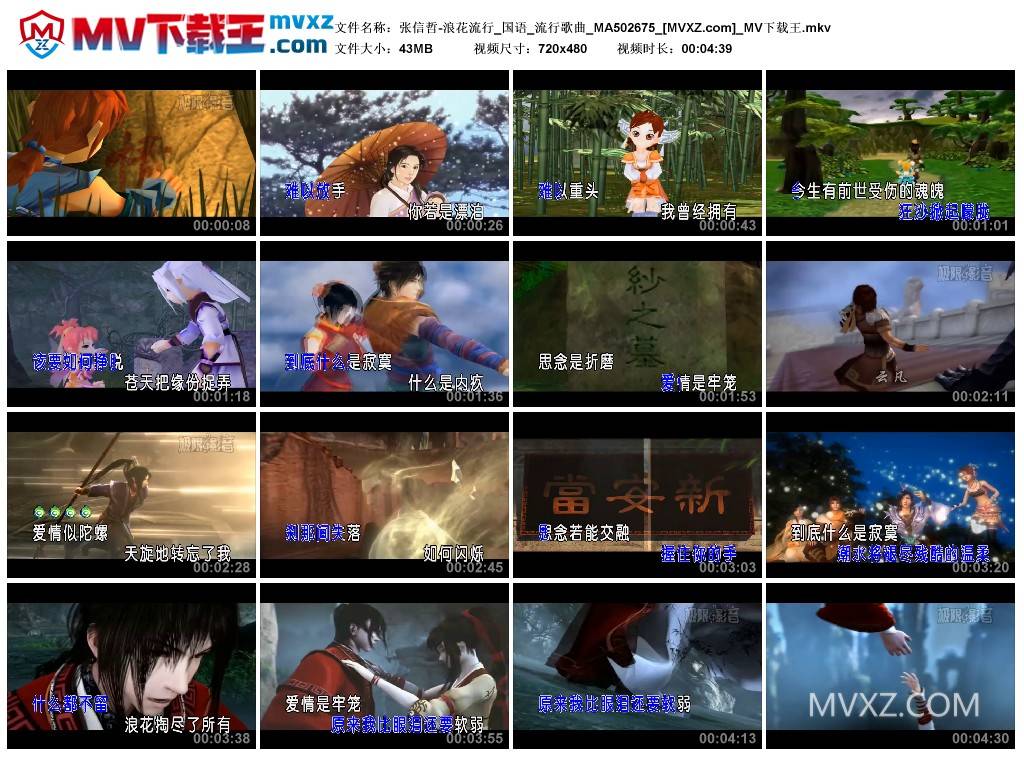 张信哲-浪花流行_国语_流行歌曲_MA502675